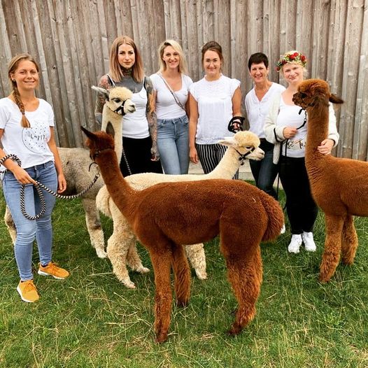 118653065 2728670770707424 3159874486286625766 nnnnnneiei