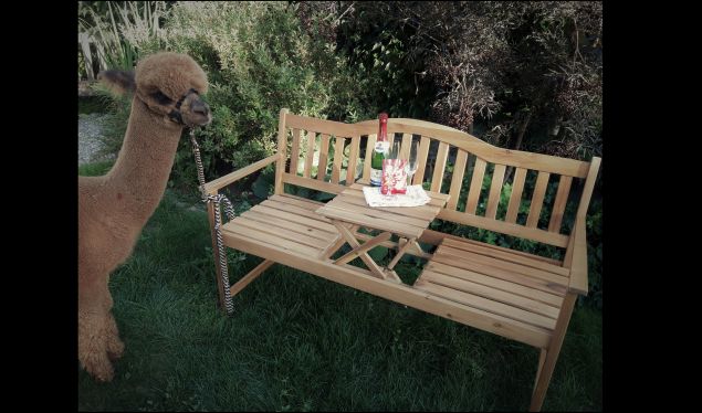 20190904 1752352222222222