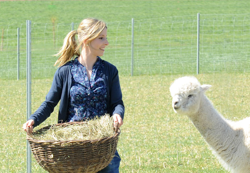 frankenland-alpaka-ueber-uns