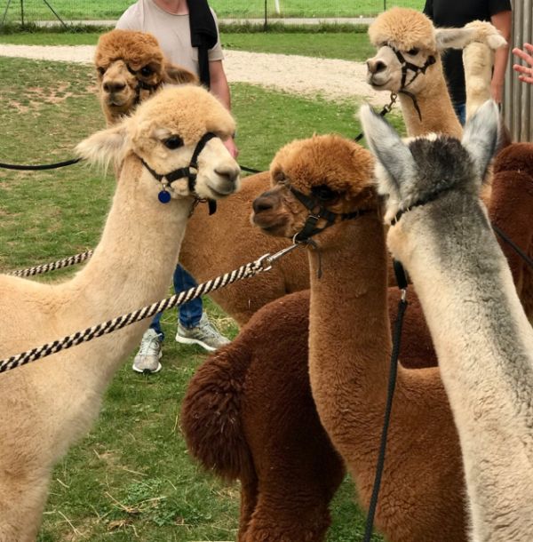 69918439 10217424286372206 5737646132121567232 nnnnnnnnnnnnnn